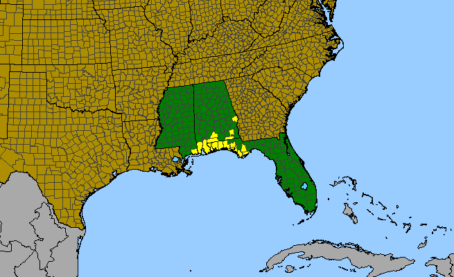 The range of Conradina canescens